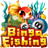 Câu Cá Bingo Q8xx bắn cá