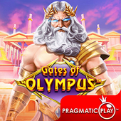 Cổng Olympus Q8xx slot